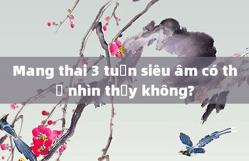 Mang thai 3 tuần siêu âm có thể nhìn thấy không?