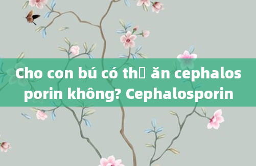 Cho con bú có thể ăn cephalosporin không? Cephalosporin