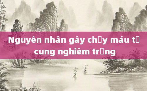 Nguyên nhân gây chảy máu tử cung nghiêm trọng