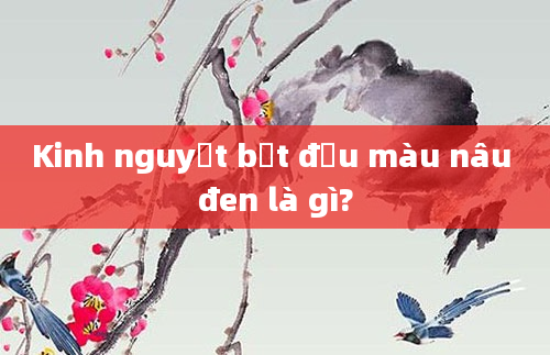 Kinh nguyệt bắt đầu màu nâu đen là gì?