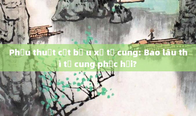 Phẫu thuật cắt bỏ u xơ tử cung: Bao lâu thì tử cung phục hồi?