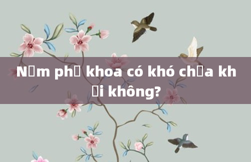 Nấm phụ khoa có khó chữa khỏi không?
