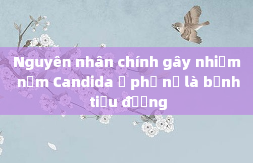 Nguyên nhân chính gây nhiễm nấm Candida ở phụ nữ là bệnh tiểu đường