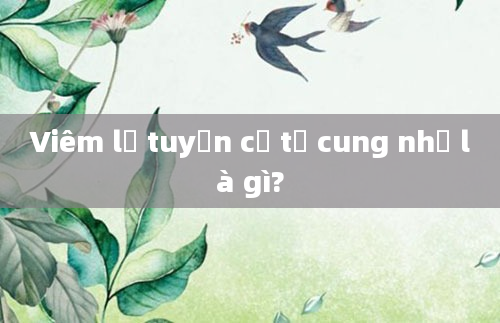 Viêm lộ tuyến cổ tử cung nhẹ là gì?