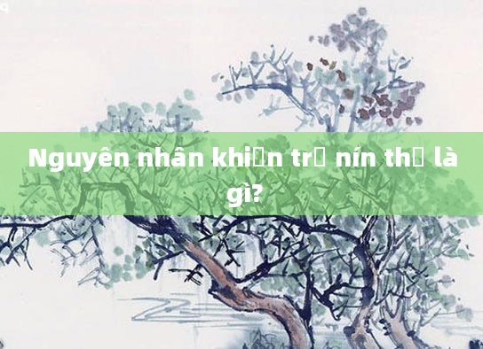 Nguyên nhân khiến trẻ nín thở là gì?