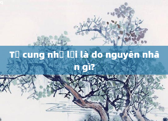 Tử cung nhỏ lại là do nguyên nhân gì?