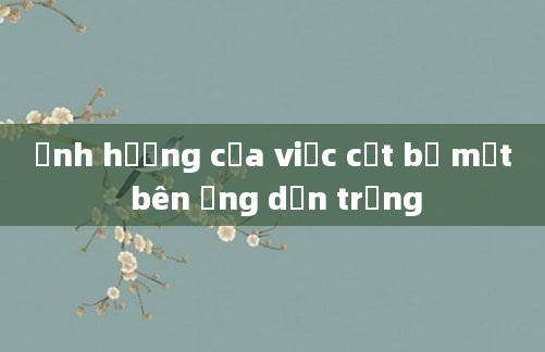 Ảnh hưởng của việc cắt bỏ một bên ống dẫn trứng