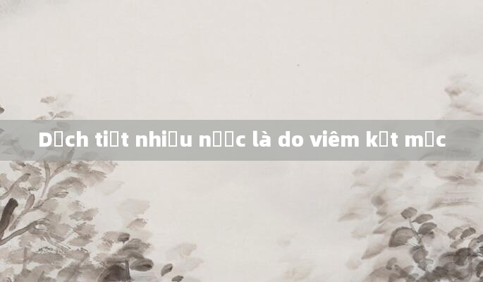 Dịch tiết nhiều nước là do viêm kết mạc