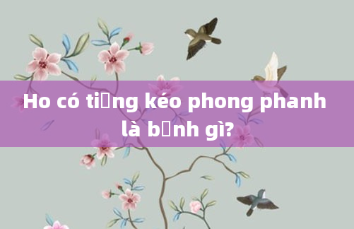 Ho có tiếng kéo phong phanh là bệnh gì?