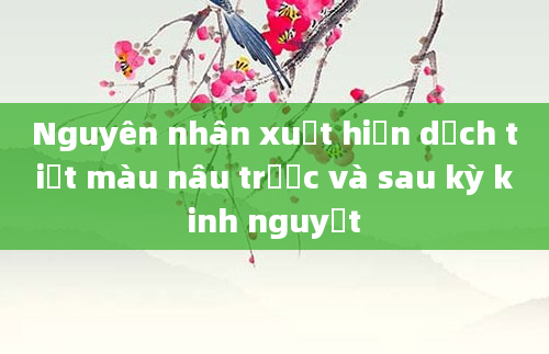 Nguyên nhân xuất hiện dịch tiết màu nâu trước và sau kỳ kinh nguyệt