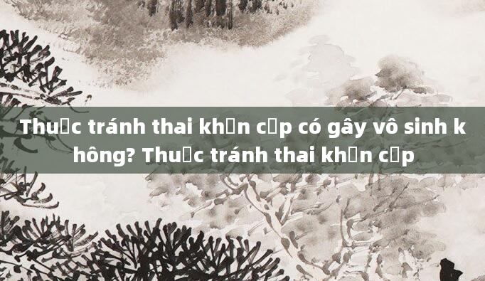 Thuốc tránh thai khẩn cấp có gây vô sinh không? Thuốc tránh thai khẩn cấp