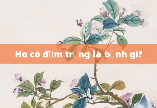 Ho có đờm trắng là bệnh gì?