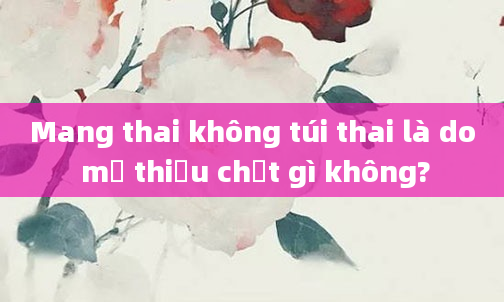 Mang thai không túi thai là do mẹ thiếu chất gì không?