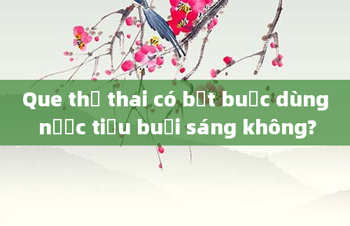 Que thử thai có bắt buộc dùng nước tiểu buổi sáng không?