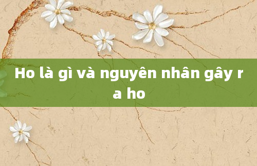 Ho là gì và nguyên nhân gây ra ho
