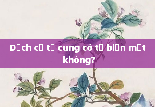 Dịch cổ tử cung có tự biến mất không?