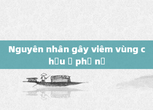 Nguyên nhân gây viêm vùng chậu ở phụ nữ