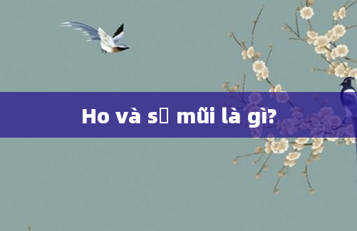 Ho và sổ mũi là gì?