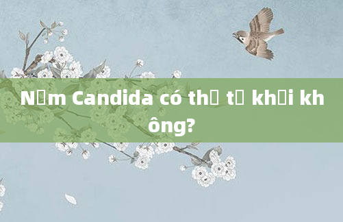 Nấm Candida có thể tự khỏi không?