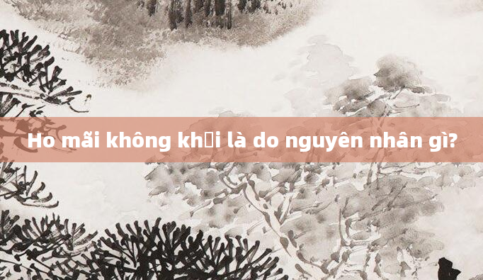 Ho mãi không khỏi là do nguyên nhân gì?