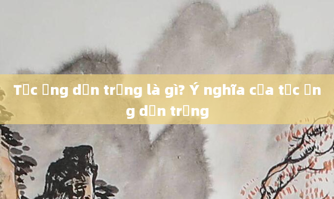 Tắc ống dẫn trứng là gì? Ý nghĩa của tắc ống dẫn trứng