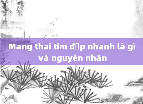 Mang thai tim đập nhanh là gì và nguyên nhân