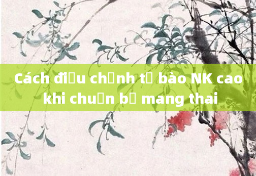 Cách điều chỉnh tế bào NK cao khi chuẩn bị mang thai