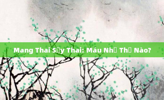 Mang Thai Sảy Thai: Máu Như Thế Nào?