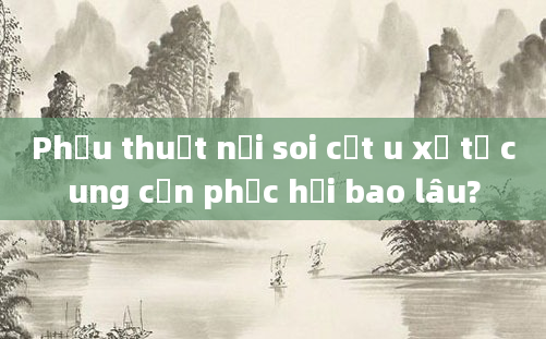Phẫu thuật nội soi cắt u xơ tử cung cần phục hồi bao lâu?