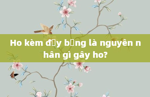 Ho kèm đầy bụng là nguyên nhân gì gây ho?