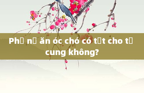 Phụ nữ ăn óc chó có tốt cho tử cung không?