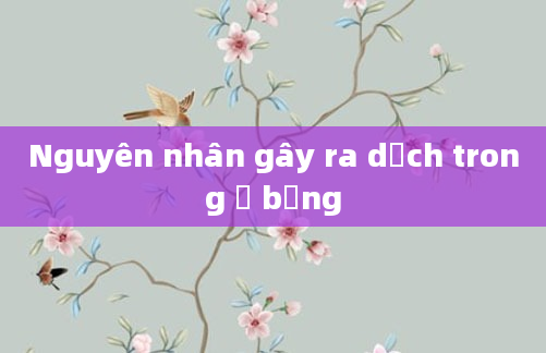Nguyên nhân gây ra dịch trong ổ bụng