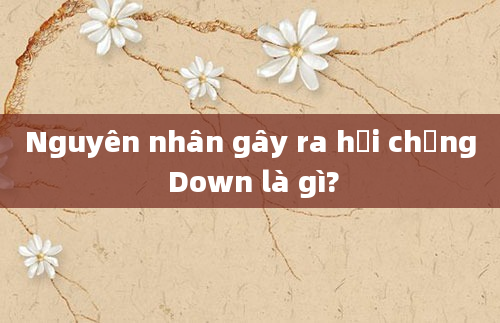 Nguyên nhân gây ra hội chứng Down là gì?