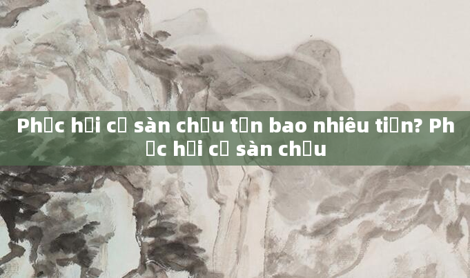 Phục hồi cơ sàn chậu tốn bao nhiêu tiền? Phục hồi cơ sàn chậu
