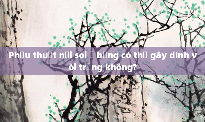 Phẫu thuật nội soi ổ bụng có thể gây dính vòi trứng không?