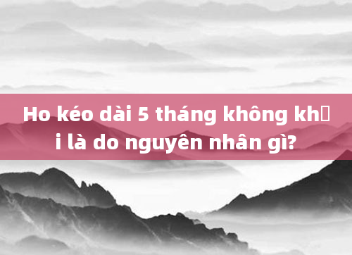 Ho kéo dài 5 tháng không khỏi là do nguyên nhân gì?