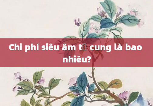 Chi phí siêu âm tử cung là bao nhiêu?