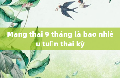 Mang thai 9 tháng là bao nhiêu tuần thai kỳ