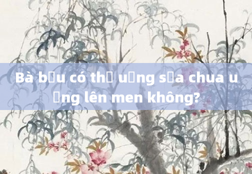 Bà bầu có thể uống sữa chua uống lên men không?