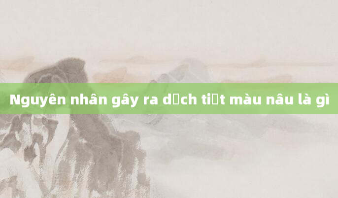 Nguyên nhân gây ra dịch tiết màu nâu là gì