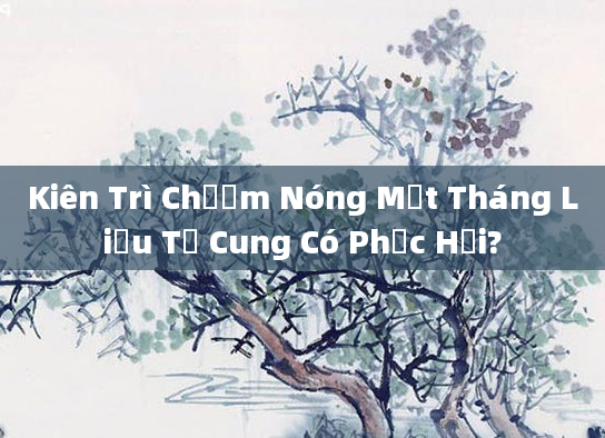 Kiên Trì Chườm Nóng Một Tháng Liệu Tử Cung Có Phục Hồi?