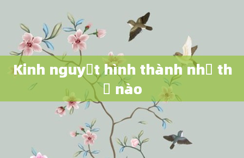 Kinh nguyệt hình thành như thế nào
