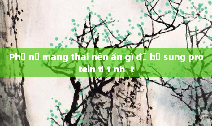 Phụ nữ mang thai nên ăn gì để bổ sung protein tốt nhất