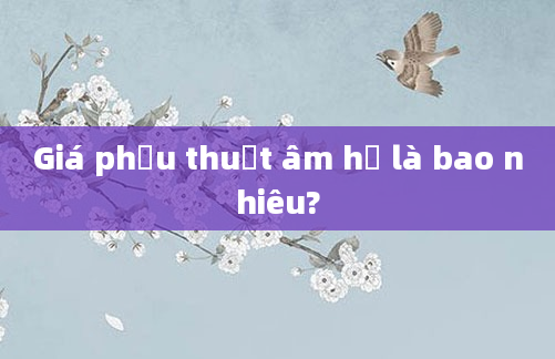 Giá phẫu thuật âm hộ là bao nhiêu?