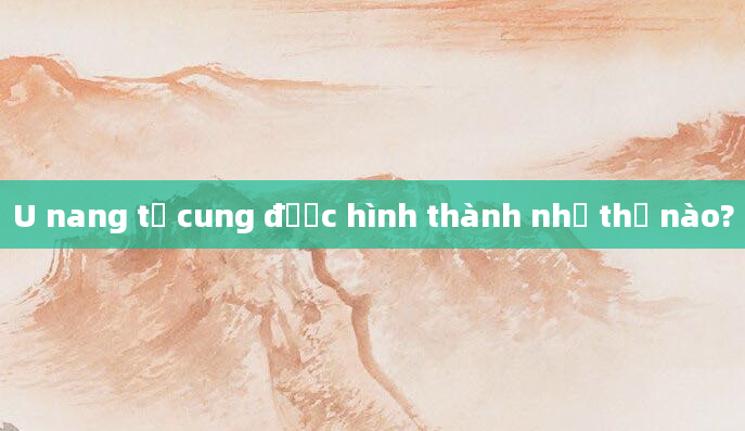 U nang tử cung được hình thành như thế nào?
