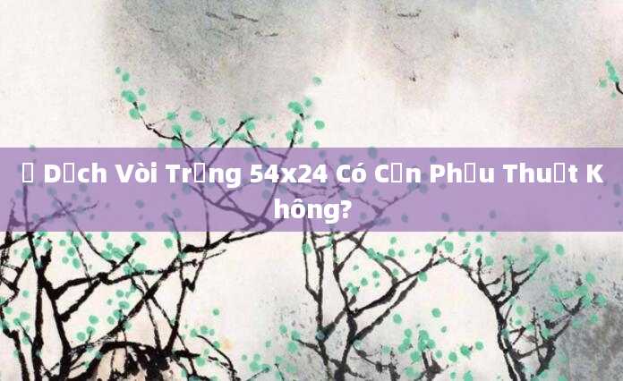 Ứ Dịch Vòi Trứng 54x24 Có Cần Phẫu Thuật Không?