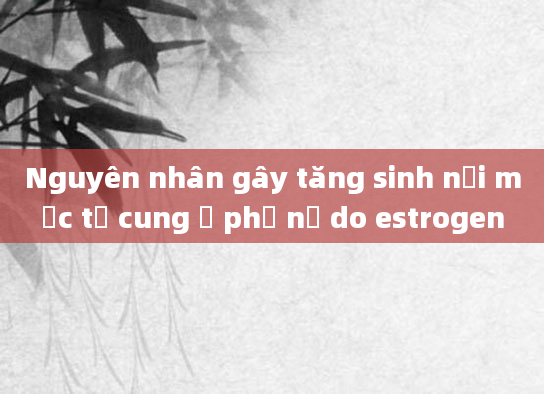 Nguyên nhân gây tăng sinh nội mạc tử cung ở phụ nữ do estrogen