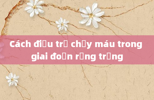 Cách điều trị chảy máu trong giai đoạn rụng trứng