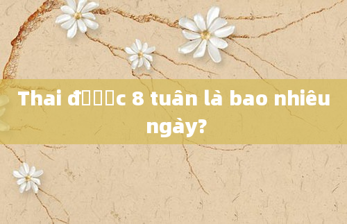 Thai được 8 tuần là bao nhiêu ngày?