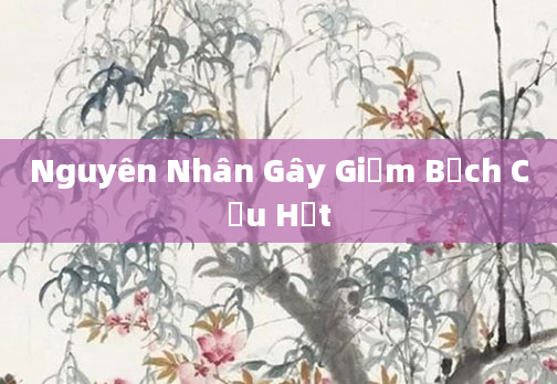 Nguyên Nhân Gây Giảm Bạch Cầu Hạt
